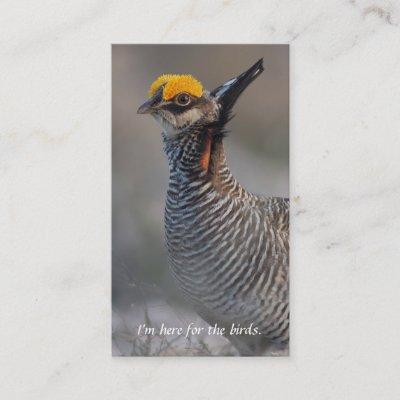 Lesser Prairie Chicken Birder's Calling Card