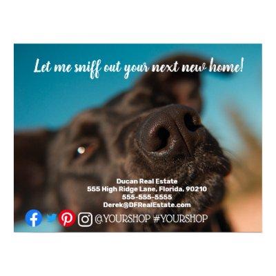 Let me sniff out  real estate marketing postcard poster