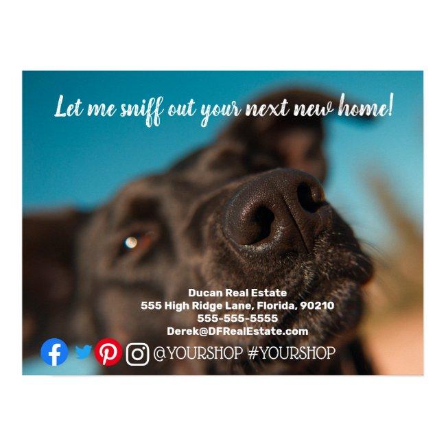 Let me sniff out real estate marketing postcard poster