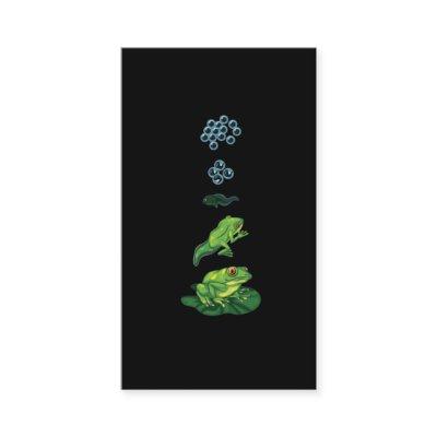 Lifecycle Frog Metamorphosis Egg Tadpole Froglet