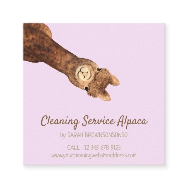 lilac Alpaca Square
