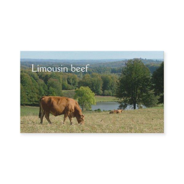 Limousin cows in a rural landscape