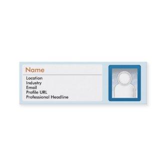 LinkedIn - Skinny Mini