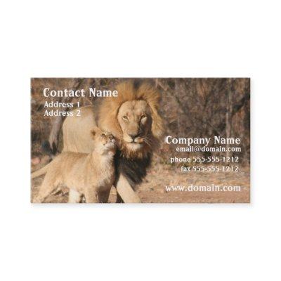 Lion and Cub