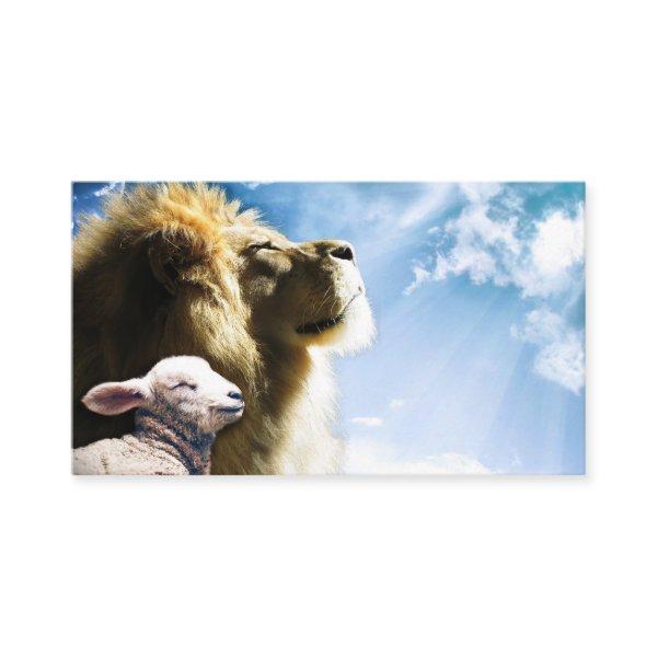 Lion and Lamb