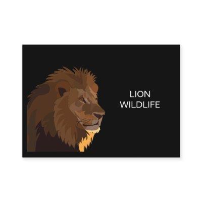 Lion Animal Wildlife