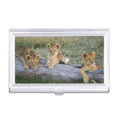 Lion Cubs on Log Case For