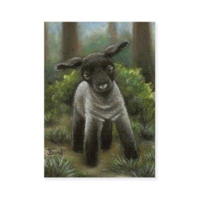Little lamb in the woods ACEO prints