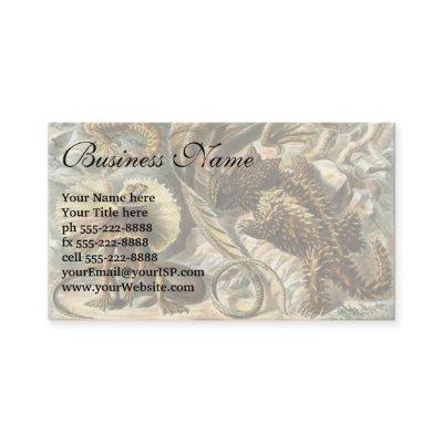 Lizards by Ernst Haeckel Vintage Lacertilia Animal