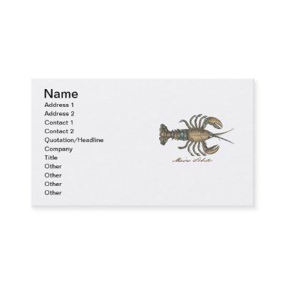 Lobster Illustration Antique Maine Seafood