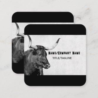 longhorn cow photography black and white custom square