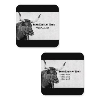 longhorn cow photography black and white custom square