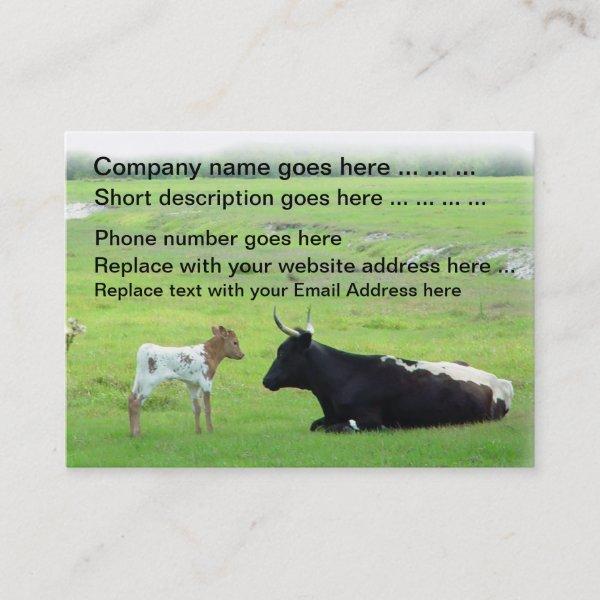 Longhorn cows calf cattle