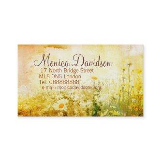 Lovely daisies