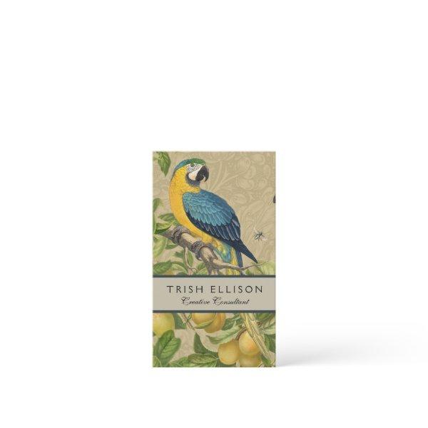 Macaw Blue Yellow Tropical Jungle Antique