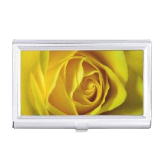 Magnificent yellow rose macro picture  holder