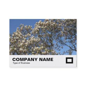 Magnolia Tree in Blossom
