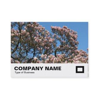 Magnolia Tree in Blossom