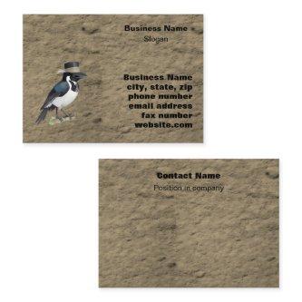 Magpie standing on perch wearing hat