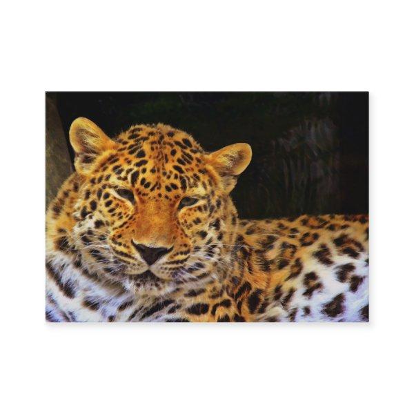 Majestic Leopard