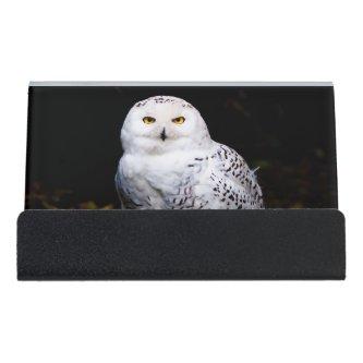 Majestic winter snowy owl desk  holder