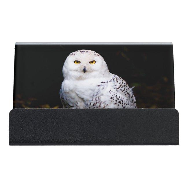 Majestic winter snowy owl desk  holder