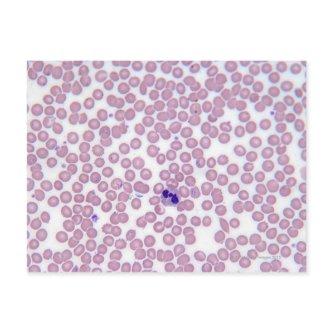 Malarial Blood Cells Postcard