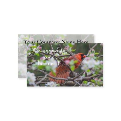 Male Cardinal in Springtime