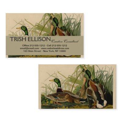 Mallard Duck Audubon Bird Painting