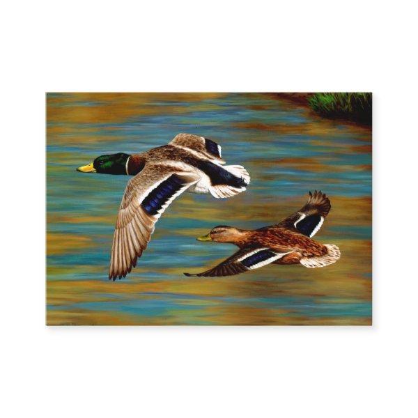 Mallard Ducks Flying Over Pond