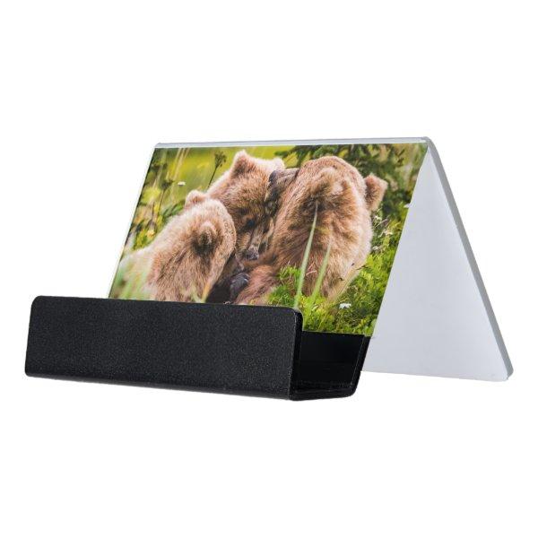 Mama bear nursing her two cubs, Lake Clark Nationa Desk  Holder