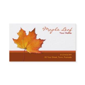 Maple Leaf