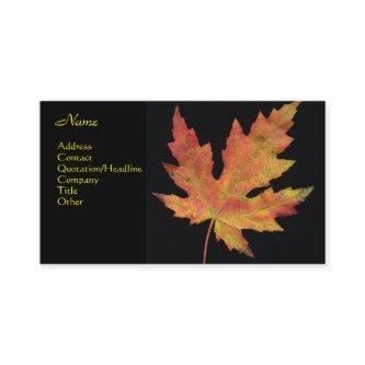 Maple Leaf