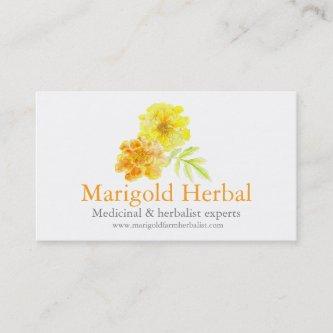 Marigold herbalists medicinal