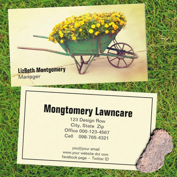 Marigold Vintage Wheelbarrow Gardening Lawn Care