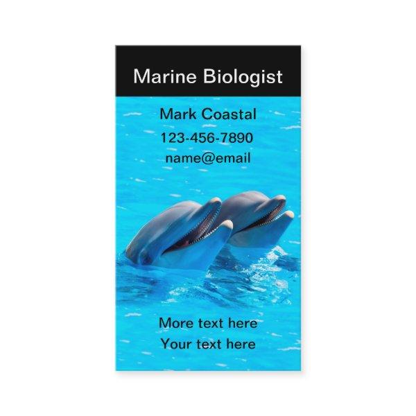 Marine Biologist Dolphin Theme