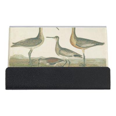 Marsh Bird Curlew Snipe Birding Desk  Holder