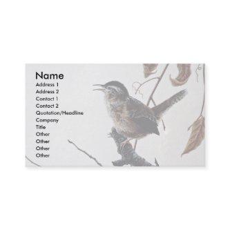 Marsh wren
