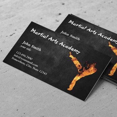 Martial Arts Academy Professional Karate