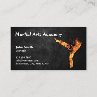 Martial Arts Academy Professional Karate
