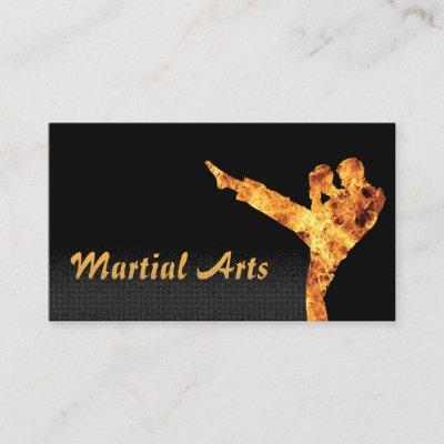 Martial Arts Flaming Fighter Professional