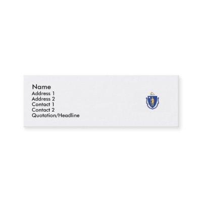 Massachusetts State Flag Mini