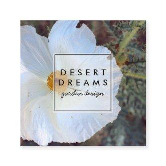 Matilija Poppy Desert Wildflower Photo Travel Square