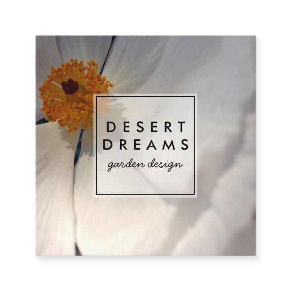 Matilija Poppy Desert Wildflower Photo Travel Square
