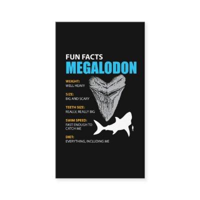 Megalodon tshirt great gift for shark enthusiasts