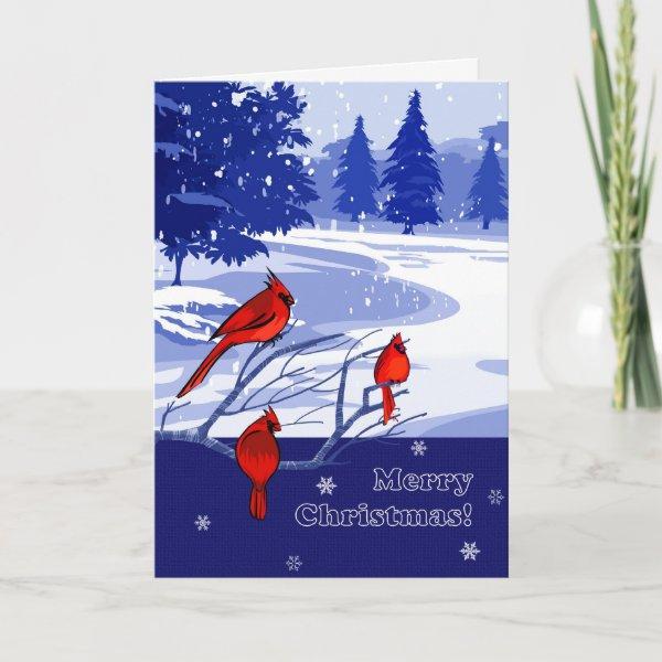 Merry Christmas. Snow Scenery with Red Cardinals Holiday Card