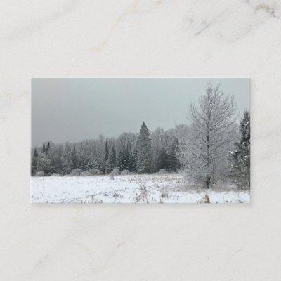 Michigan Winter Landscape