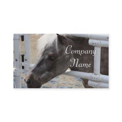 Miniature Horse