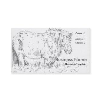 Miniature Pony Drawing