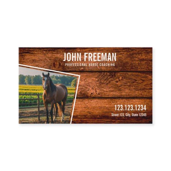 Minimal Brown Horse Photo Equestrian